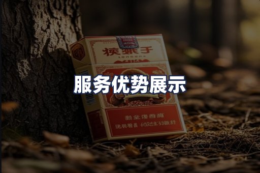 服务优势展示